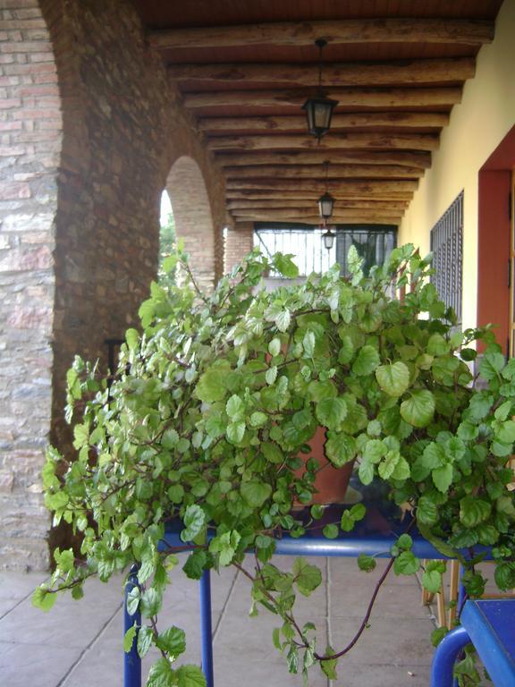 Pensjonat La Casa Del Cura Corteconcepción Zewnętrze zdjęcie